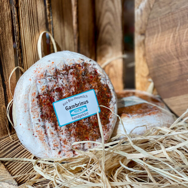 Gambrinus – organiczny ser tyrolski z bio-mleka siennego